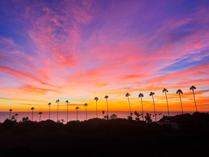 DriverZ is Updating their Best Driving School Lists in California for 2023
